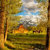 Barn