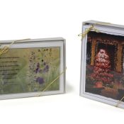 Card Boxes