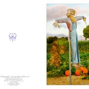 Greeting Card Design