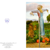 Greeting Card Design