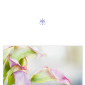 Greeting Card Design