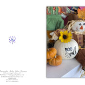 Greeting Card Design