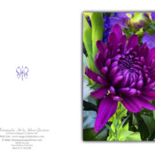 Greeting Card Design