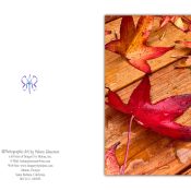 Greeting Card Design