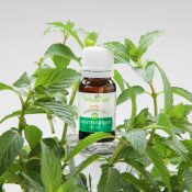 Botanicare